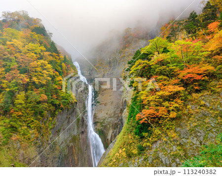 富山_紅葉に染まる称名滝の絶景風景 113240382
