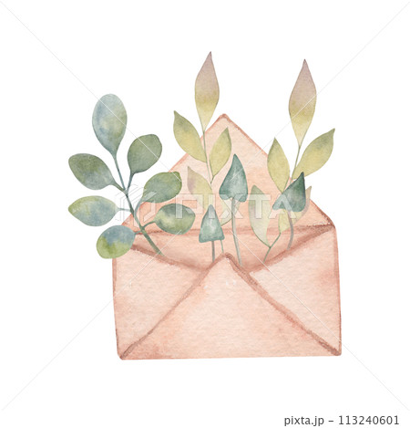 Composition of mushrooms with leaves in a brown paper envelope. Vegetable watercolor illustration. Hand drawn isolated art. Botanical autumn sketch for thanksgiving, harvest, nature, ecology projects Composition of mushrooms with leaves in a brown paper envelope. Vegetable watercolor illustration. Hand drawn isolated art. Botanical autumn sketch for thanksgiving, harvest, nature, ecology projects 113240601
