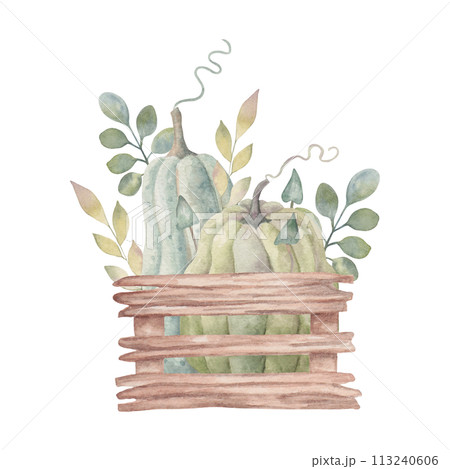 Composition of pumpkins and mushrooms with leaves in a garden wooden box. Vegetable watercolor illustration. Hand drawn isolated art. Botanical autumn sketch for Thanksgiving, harvest design Composition of pumpkins and mushrooms with leaves in a garden wooden box. Vegetable watercolor illustration. Hand drawn isolated art. Botanical autumn sketch for Thanksgiving, harvest design 113240606