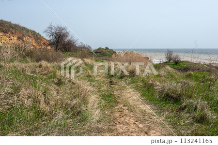 Wild beach in the village of Fontanka, Odessa region, Ukraine 113241165