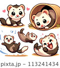 気ままなフェレット 113241434