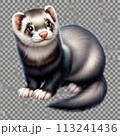 見上げるフェレット 113241436