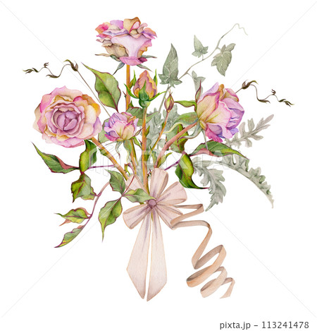 Hand drawn watercolor illustration shabby boho botanical flowers leaves. Dusty pink tea rose, ivy tendrils, silver cineraria with bow tie. Bouquet isolated white background. Design wedding, love cards 113241478