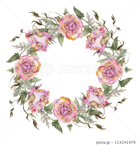 Hand drawn watercolor illustration shabby boho botanical flowers leaves. Dusty pink tea rose buds, ivy tendrils, silver cineraria. Wreath frame isolated on white background. Design wedding, love cards 113241479