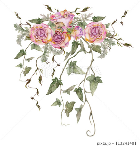 Hand drawn watercolor illustration shabby boho botanical flowers leaves. Dusty pink tea rose buds, ivy tendrils silver cineraria. Bouquet isolated on white background. Design wedding, love cards, shop Hand drawn watercolor illustration shabby boho botanical flowers leaves. Dusty pink tea rose buds, ivy tendrils silver cineraria. Bouquet isolated on white background. Design wedding, love cards, shop 113241481