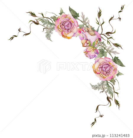Hand drawn watercolor illustration shabby boho botanical flowers leaves. Dusty pink tea rose buds, ivy tendrils, silver cineraria. Corner frame isolated on white background. Design wedding, love cards Hand drawn watercolor illustration shabby boho botanical flowers leaves. Dusty pink tea rose buds, ivy tendrils, silver cineraria. Corner frame isolated on white background. Design wedding, love cards 113241483