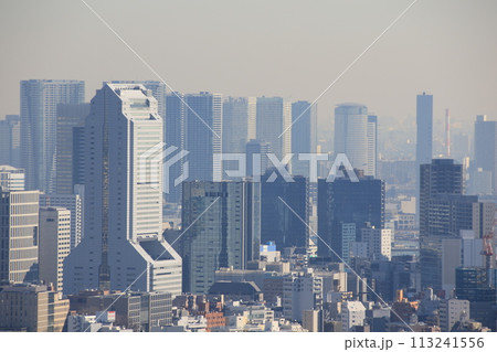 NECロケットビルと高層マンションの林立する2017年の東京の風景 NECロケットビルと高層マンションの林立する2017年の東京の風景 113241556