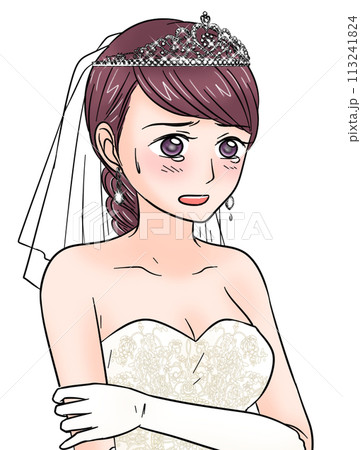 結婚式で泣いている新婦 結婚式で泣いている新婦 113241824