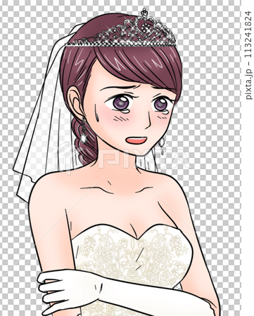 結婚式で泣いている新婦 結婚式で泣いている新婦 113241824