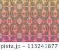 小柄ボタニカル 夕陽 113241877