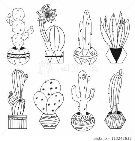 Set of cactus in pots in the doodle style, painted by hand. The coloring page. Set of cactus in pots in the doodle style, painted by hand. The coloring page. 113242635