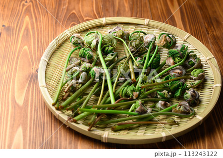 春の食材 ぜんまい （ 薇 ） 113243122