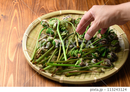 春の食材 ぜんまい （ 薇 ） 113243124