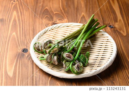 春の食材 ぜんまい （ 薇 ） 113243131