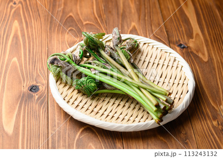 春の食材 ぜんまい ( 薇 ) 春の食材 ぜんまい ( 薇 ) 113243132