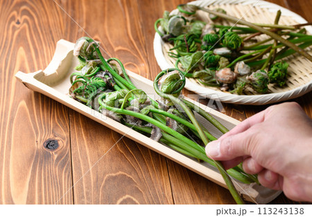春の食材 ぜんまい （ 薇 ） 113243138