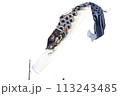 空に舞う鯉のぼり 113243485