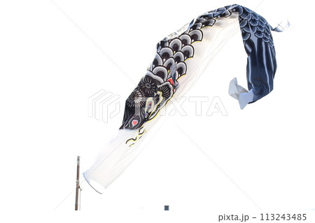 空に舞う鯉のぼり 113243485