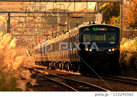夕日を浴びて走る相鉄12000系電車 113243562