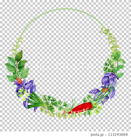 Watercolor frame of herbs isolated on white background. Floral illustration for foam design, product packaging. Culinary herbs mint, bay leaf, basil, dill, tarragon, oregano, pepper, onion, leek. Watercolor frame of herbs isolated on white background. Floral illustration for foam design, product packaging. Culinary herbs mint, bay leaf, basil, dill, tarragon, oregano, pepper, onion, leek. 113243669