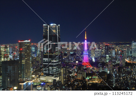 東京タワーと麻布台ヒルズ森JPタワーのライトアップ風景 113245172