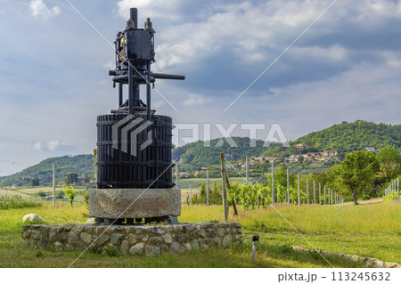 Typical vineyard near Castello di Razzano and Alfiano Natta, Barolo wine region, province of Cuneo, region of Piedmont, Italy Typical vineyard near Castello di Razzano and Alfiano Natta, Barolo wine region, province of Cuneo, region of Piedmont, Italy 113245632