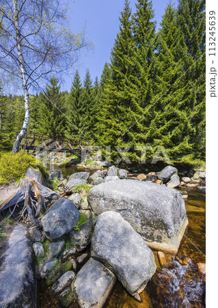 Spring landscape near Karlovsky most, Czech and Poland border, Jizerky mountains, Czech Republic Spring landscape near Karlovsky most, Czech and Poland border, Jizerky mountains, Czech Republic 113245639