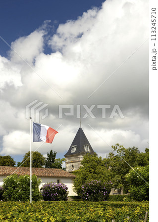 Typical vineyards near Chateau Tronquoy, Saint-Estephe, Bordeaux, Aquitaine, France 113245710