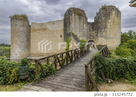 Chateau de Gencay ruins (Du Guesclin), department Vienne, Aquitaine, France 113245772