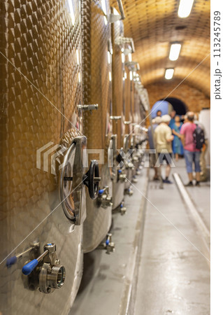 Modern production wine cellar with stainless steel tank, Southern Moravia, Czech Republic 113245789