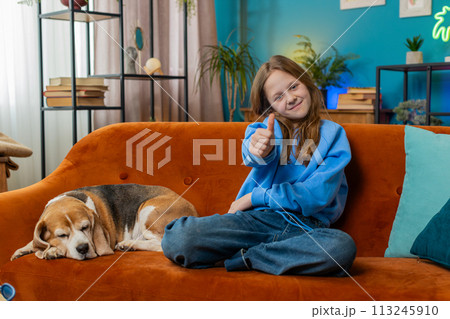 Child girl looking approvingly at camera showing thumbs up like sign positive with cute beagle dog Child girl looking approvingly at camera showing thumbs up like sign positive with cute beagle dog 113245910