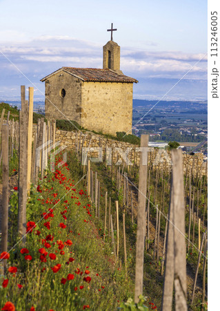 Grand cru vineyard and Chapel of Saint Christopher, Tain l'Hermitage, Rhone-Alpes, France Grand cru vineyard and Chapel of Saint Christopher, Tain l'Hermitage, Rhone-Alpes, France 113246005