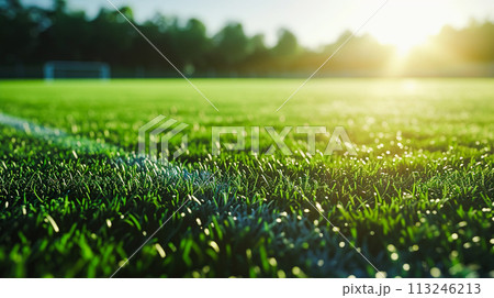 野外のサッカー練習場の芝のクローズアップ 野外のサッカー練習場の芝のクローズアップ 113246213