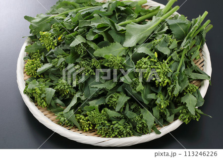 ザルに盛られたかき菜 113246226