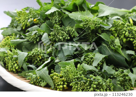 ザルに盛られたかき菜 113246230