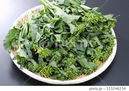 ザルに盛られたかき菜 ザルに盛られたかき菜 113246234