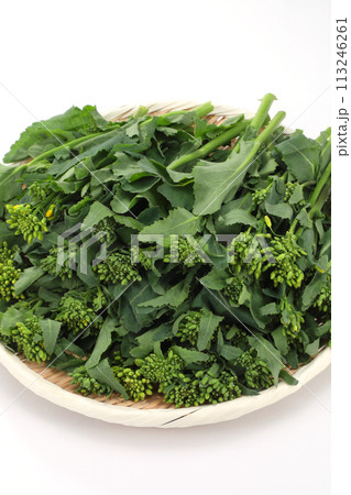 ザルに盛られたかき菜 ザルに盛られたかき菜 113246261