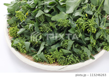 ザルに盛られたかき菜 ザルに盛られたかき菜 113246263