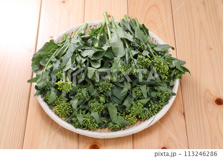 ザルに盛られたかき菜 ザルに盛られたかき菜 113246286