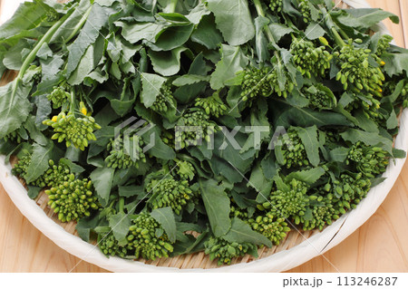 ザルに盛られたかき菜 ザルに盛られたかき菜 113246287