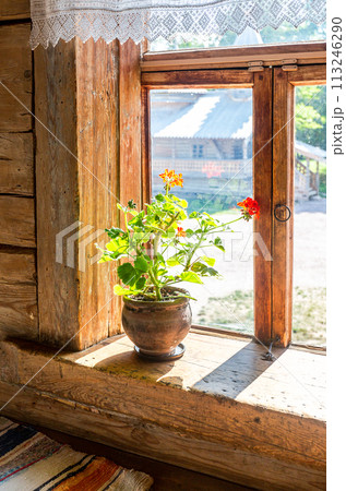 Geranium flowers in ceramic pot on a window board of old rural wooden house 113246290