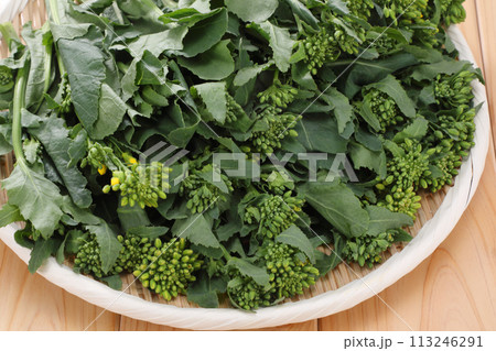 ザルに盛られたかき菜 ザルに盛られたかき菜 113246291