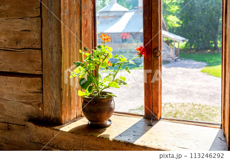 Geranium flowers in ceramic pot on a window board of old rural wooden house 113246292