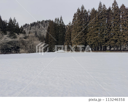 景色 風景 地形 113246358
