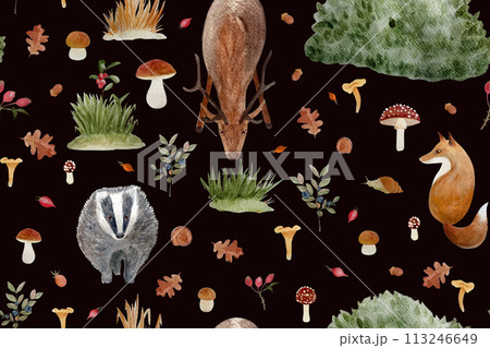 Autumn forest wild plants and animals watercolor seamless pattern on black Autumn forest wild plants and animals watercolor seamless pattern on black 113246649