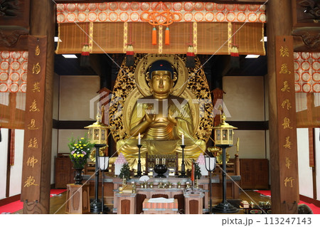 大仏 中尊寺 金色堂 113247143