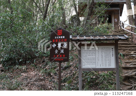 中尊寺 金色堂 東北 113247168