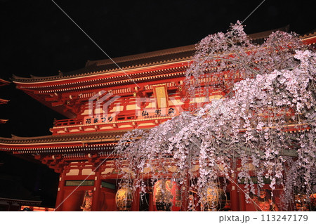 満開の桜と浅草寺宝蔵門　東京の観光地　ライトアップされた宝蔵門 113247179