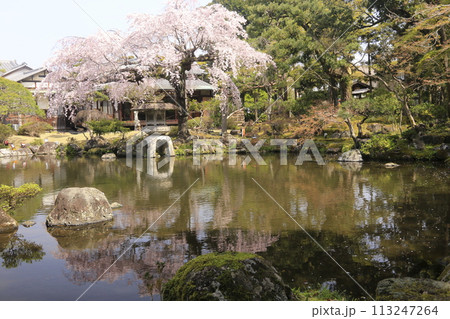 池のある庭園 113247264