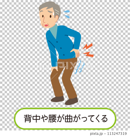 背中や腰が曲がってしまった高齢者　骨粗鬆症 113247319